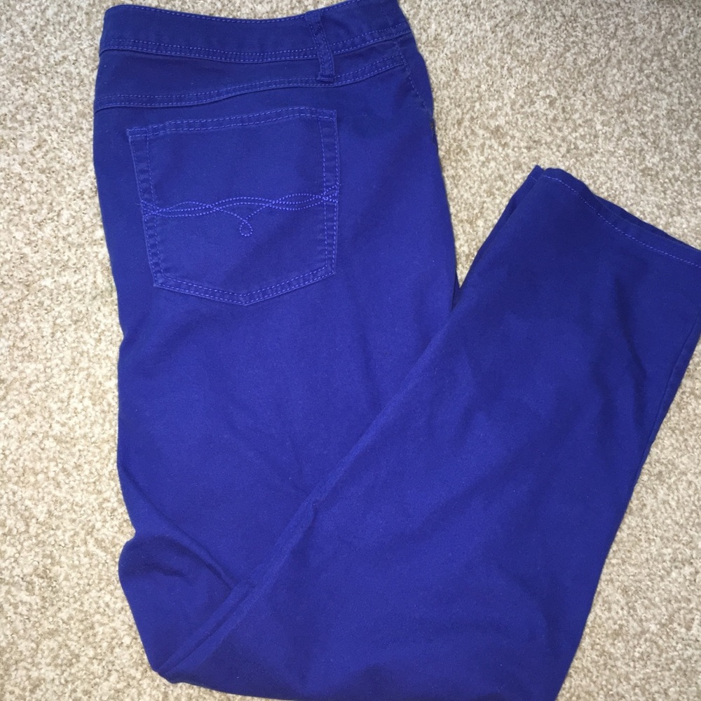 Dark Blue Pants CATO Brand Womens